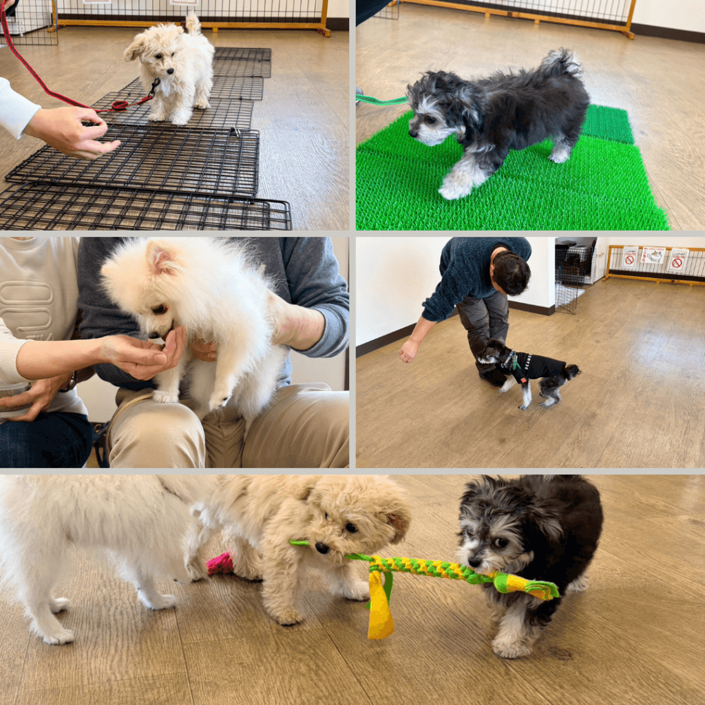 2025/11/8　グループレッスンの様子