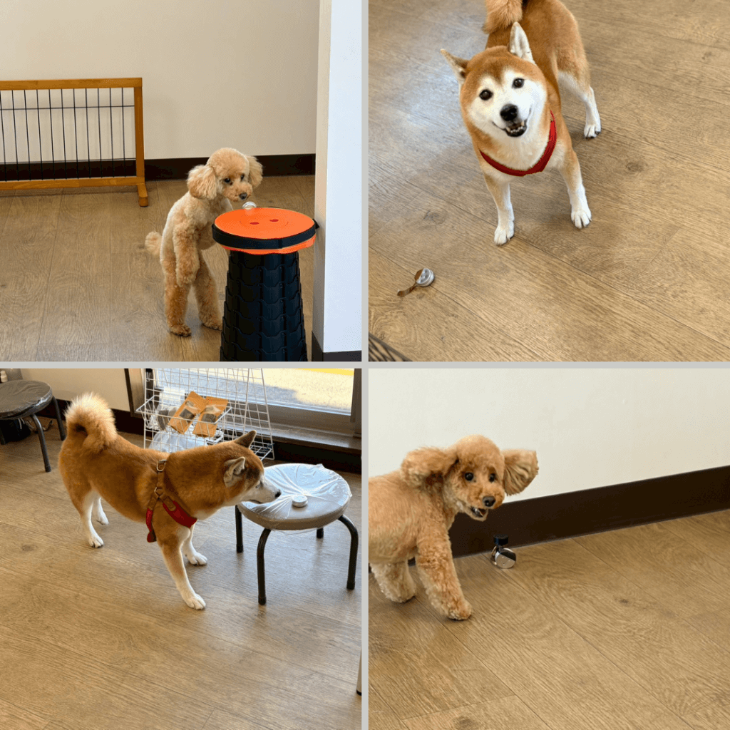 2025/11/8　グループレッスンの様子