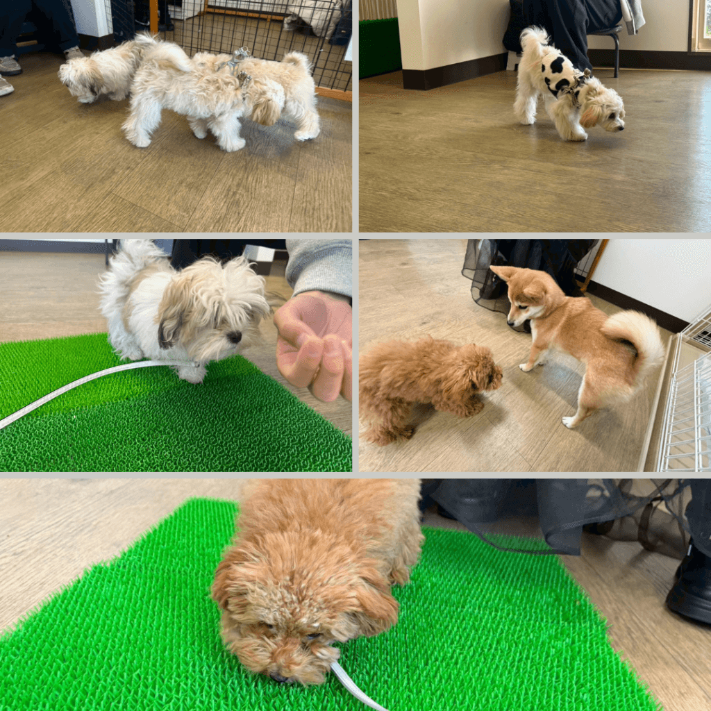 2025/12/13 グループレッスンの様子