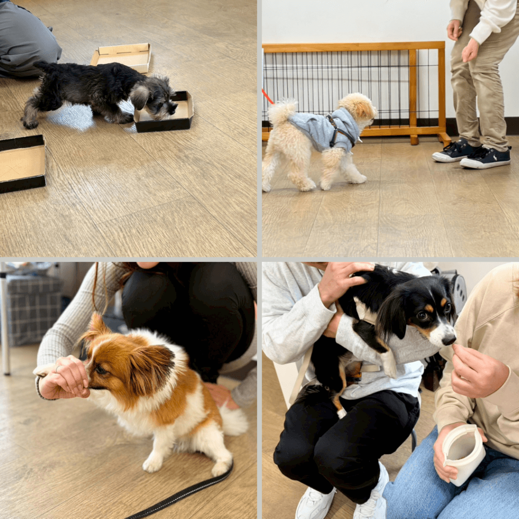 2025/11/26 グループレッスンの様子