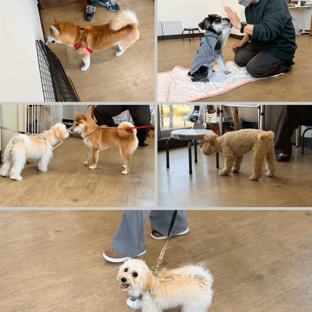 2026/1/10 グループレッスンの様子