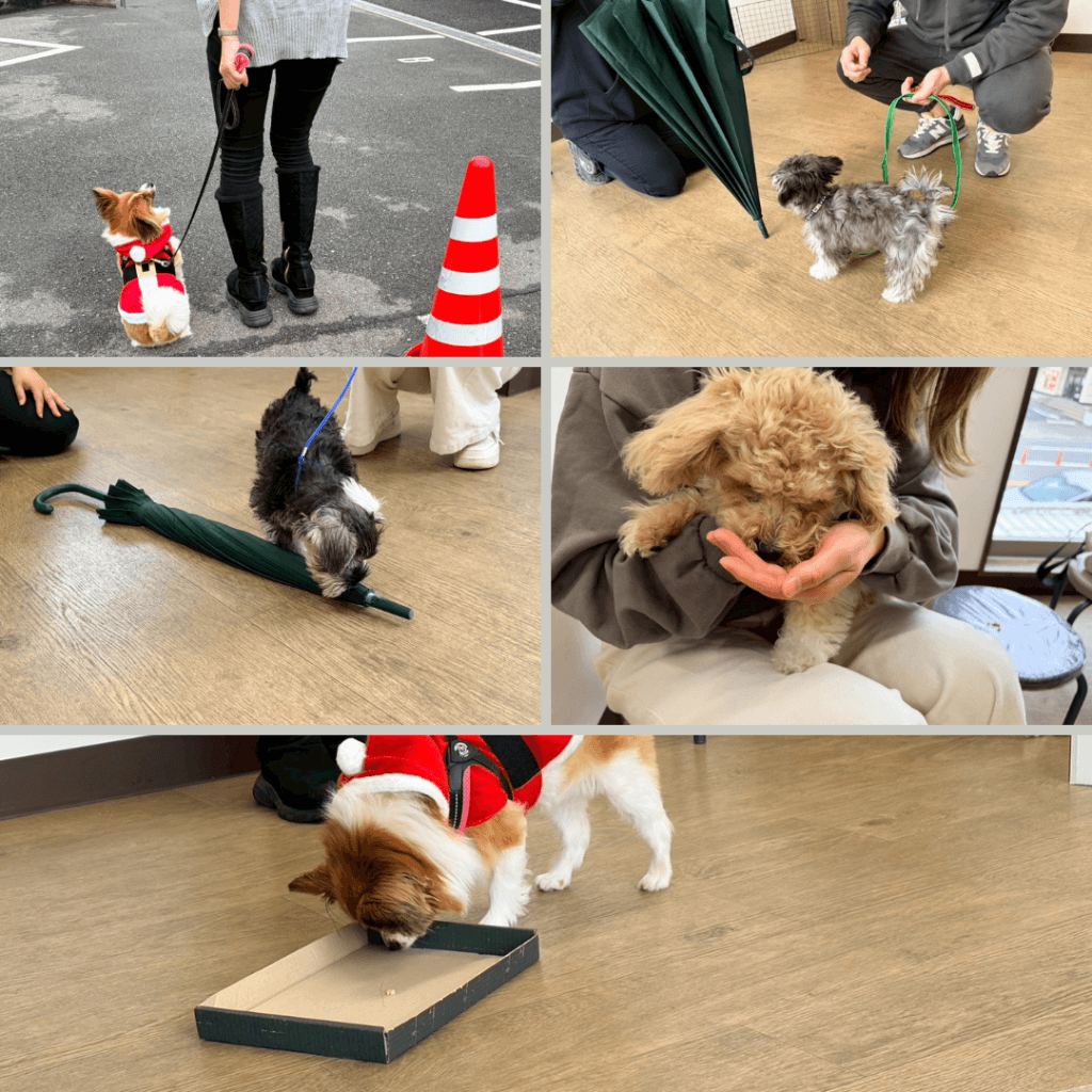 2025/12/24　グループレッスンの様子