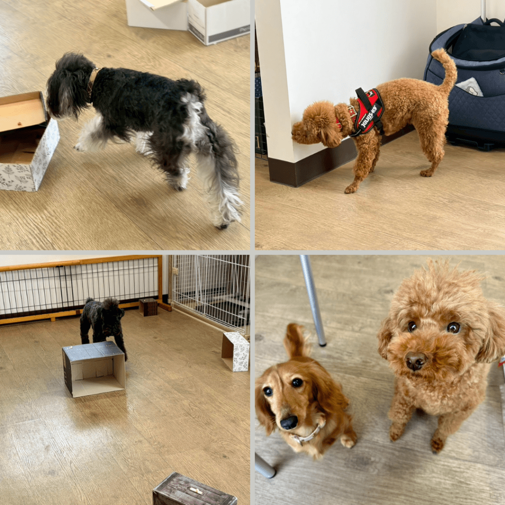 2026/1/28　グループレッスンの様子