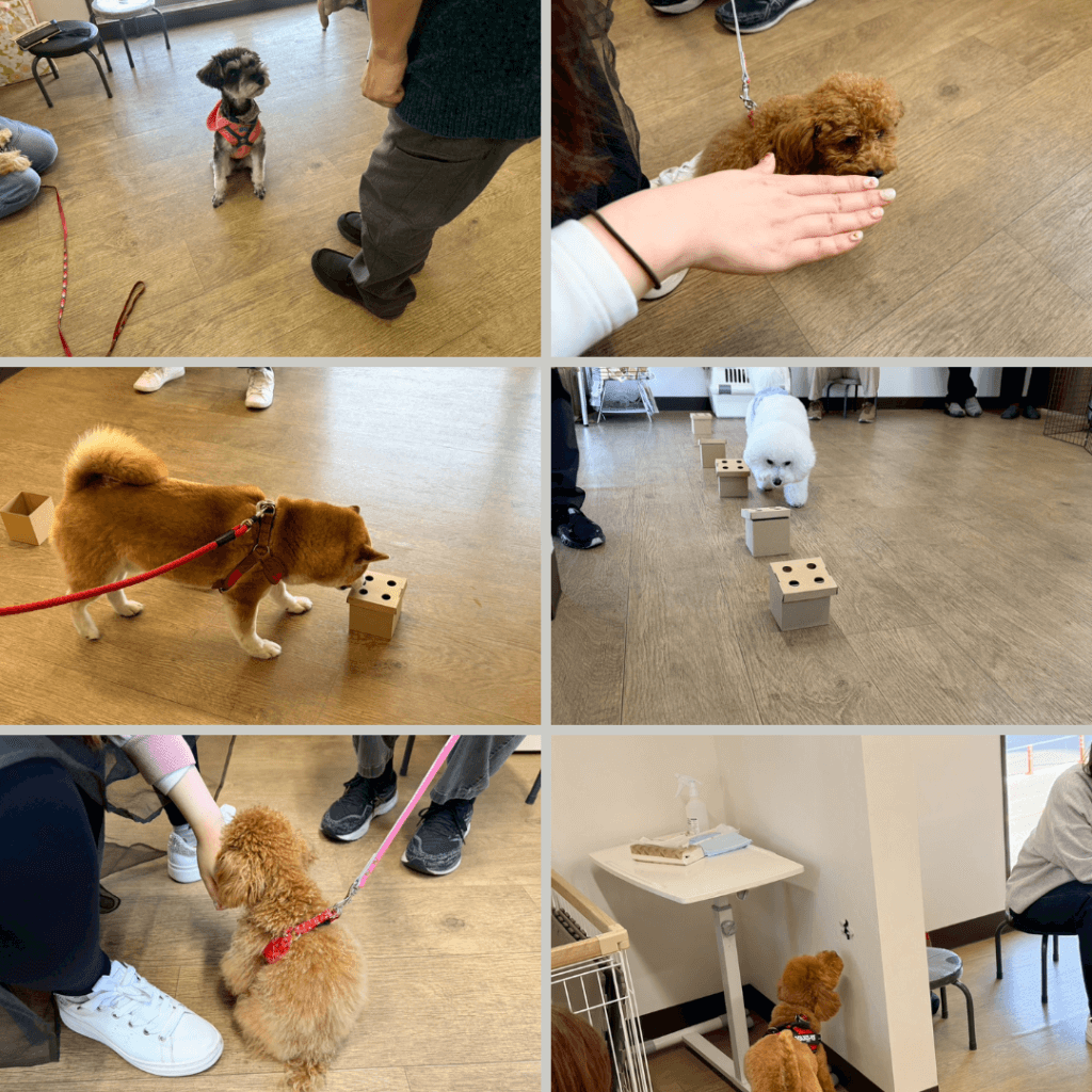 2026/2/14 グループレッスンの様子