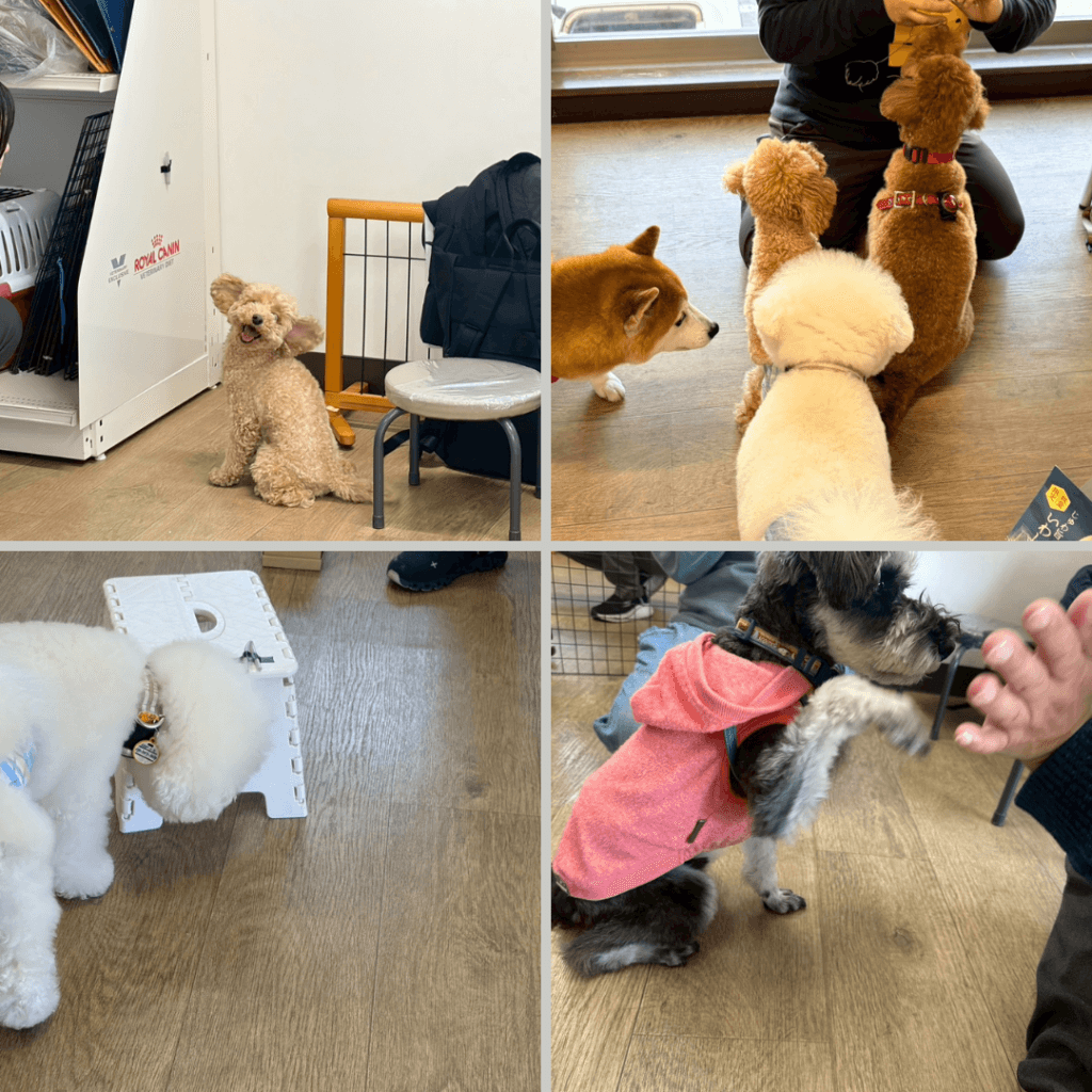 2026/2/14 グループレッスンの様子