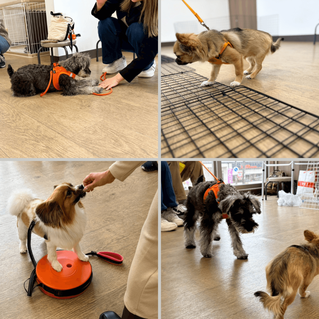 2026/2/25 グループレッスンの様子