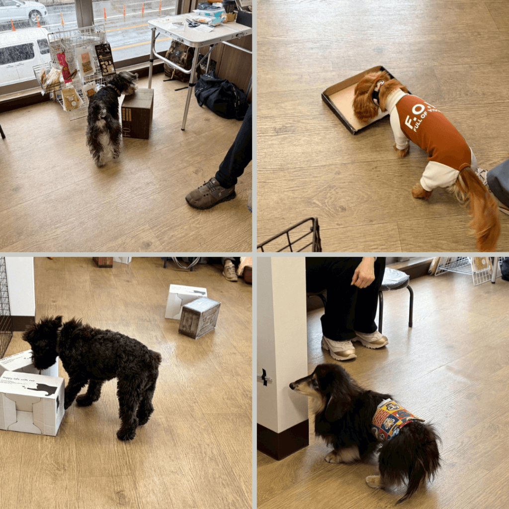 2026/2/25 グループレッスンの様子